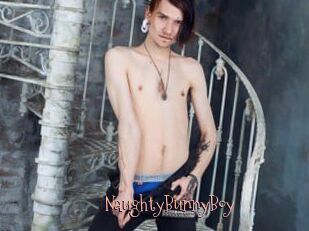 NaughtyBunnyBoy