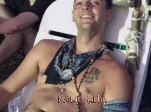 Nectar_Rabbit