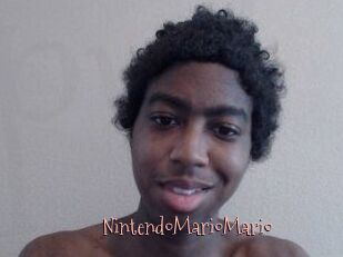 NintendoMarioMario