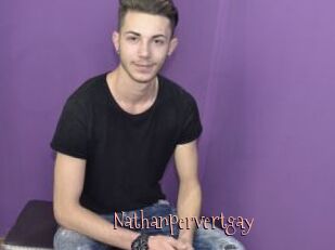Nathanpervertgay