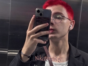 Nikistorming