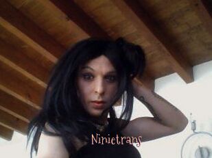 Ninietrans
