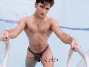 Noaheden