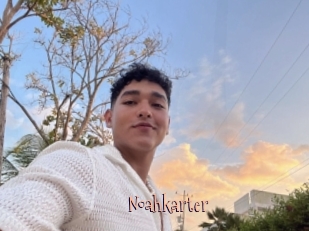 Noahkarter