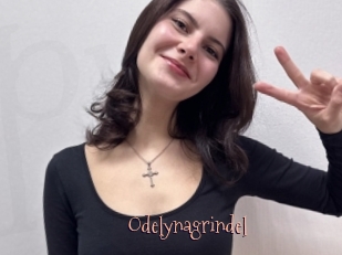 Odelynagrindel