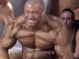 Oigan_muscle