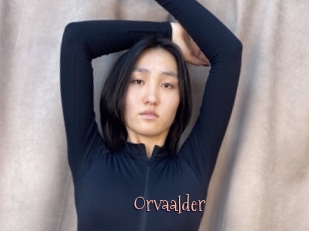 Orvaalder