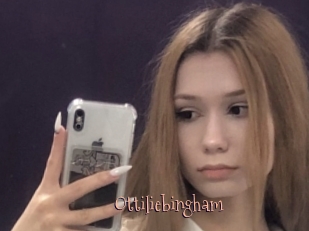 Ottiliebingham