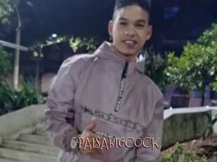 PAISABIGCOCK