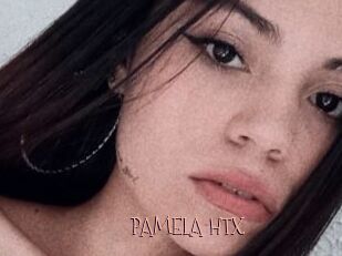 PAMELA_HTX