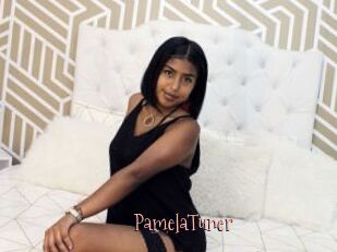 PamelaTuner