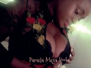 Pamela_Mega_Boobs
