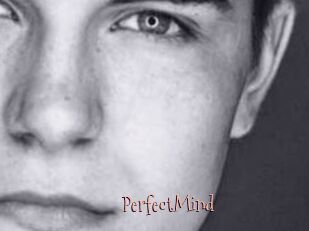 PerfectMind