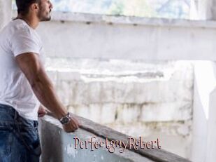 PerfectguyRobert