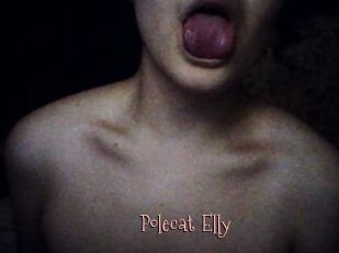 Polecat_Elly