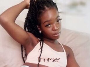Primrose50