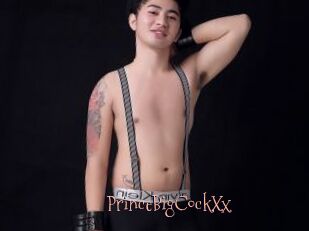 PrinceBigCockXx