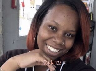 Pudd123
