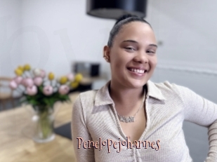 Penelopejohannes