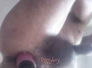 Piggyboy