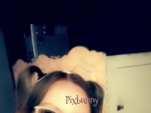 Pixbunny