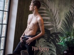 Pluckygay
