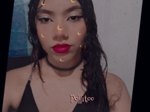 Pollitoo