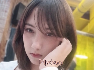 Pollychasey