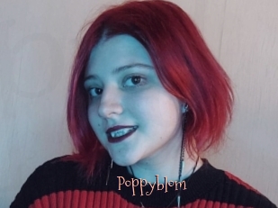 Poppyblom