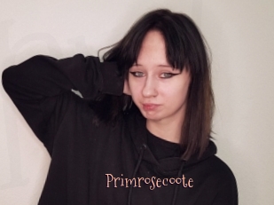 Primrosecoote