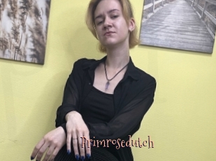 Primrosedutch