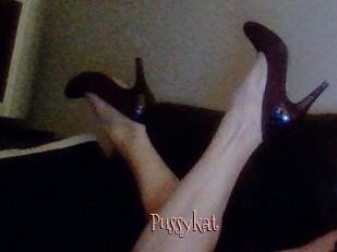 Pussykat