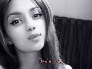 Rabbit_eas