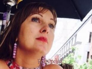 Red_Orchid