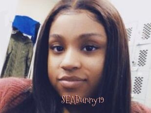 SEABunny19