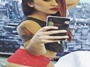 SOFI_G