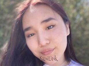 SaniLink
