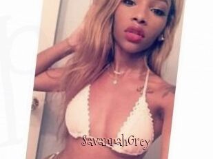 Savannah_Grey
