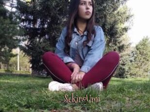 SekinoUmi