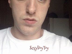 SexyBoyToy