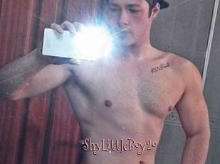 ShyLittleBoy20