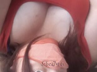 SilicaPonn