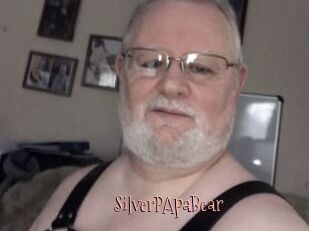 SilverPApaBear