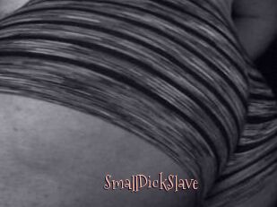 SmallDickSlave