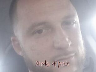 Stroke_of_penis