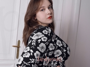 Sandymodel