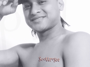 Scottrosee