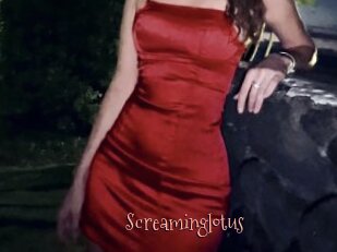 Screaminglotus
