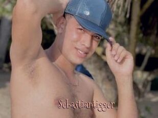 Sebastiantigger