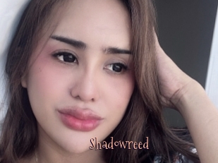Shadowreed